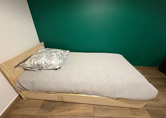 Havre De Paix Climatise Parking T2 アパート ルルド