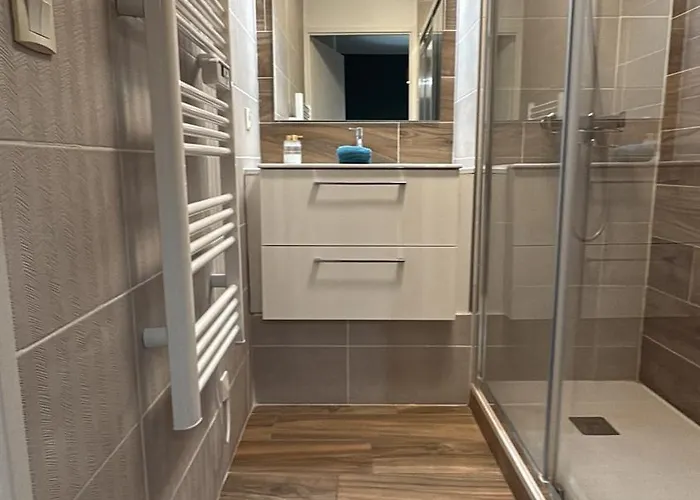 Havre De Paix Climatise Parking T2 アパート ルルド